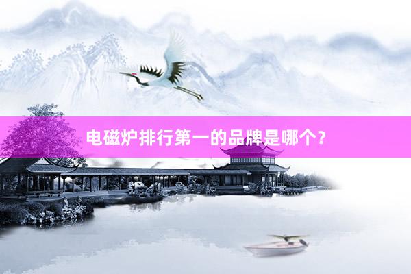 电磁炉排行第一的品牌是哪个？